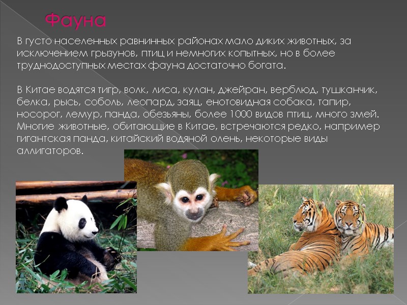 Фауна В густо населенных равнинных районах мало диких животных, за исключением грызунов, птиц и